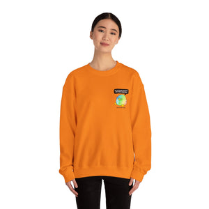 The Diversity Duck sweater